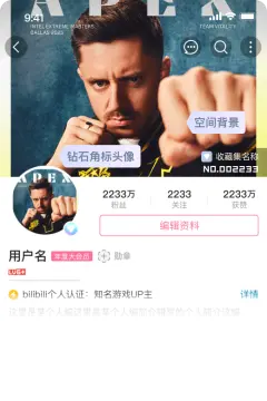 预览