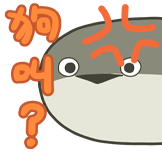 [欧皇甲鱼_出货？]
