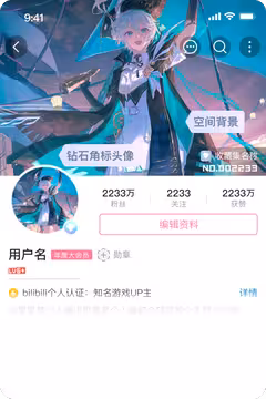 预览