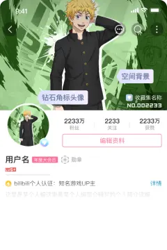 预览