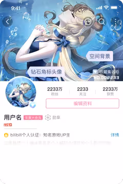 预览