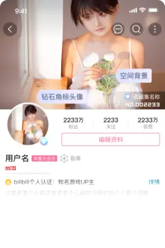 预览