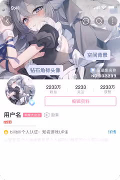 预览