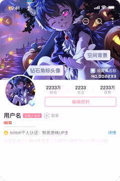 预览