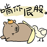 [水豚阿米go_啃你屁股]