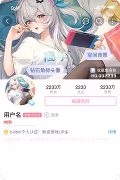 预览