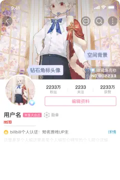 预览