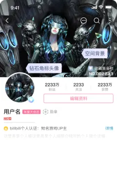 预览