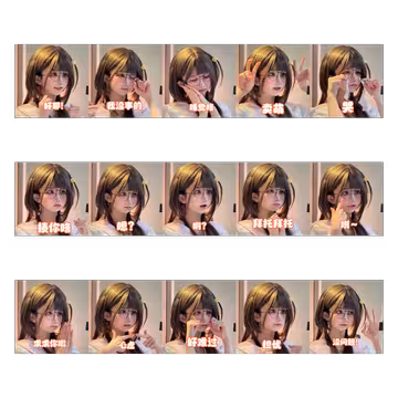 预览