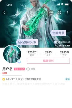 预览