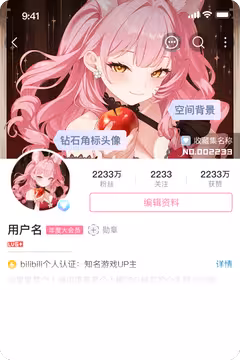 预览
