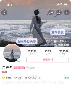 预览