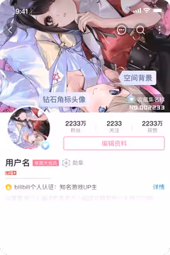 预览