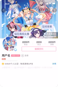 预览
