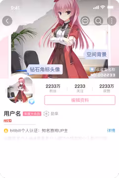 预览