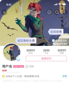 预览