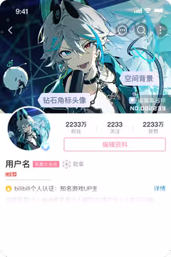 预览
