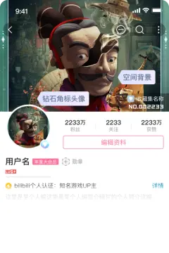 预览
