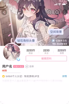 预览