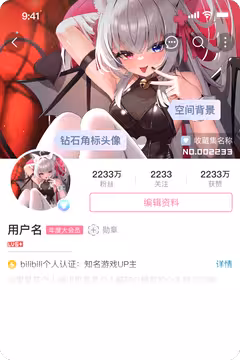 预览