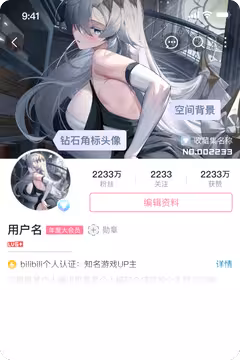 预览