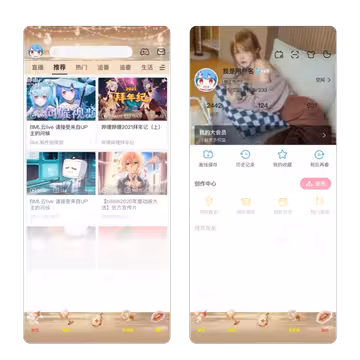 预览