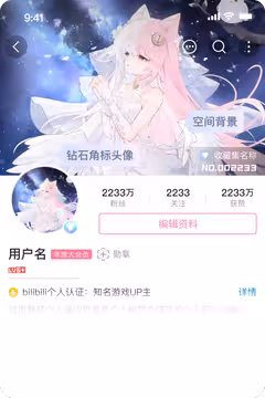 预览