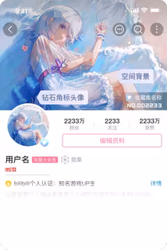 预览