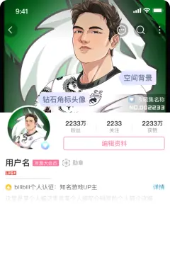 预览