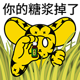 [豹力豹气_急支糖浆]