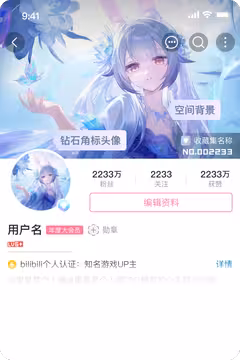 预览