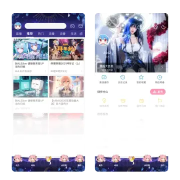 预览