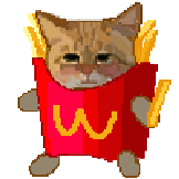 [上菜版猫meme_薯条猫]