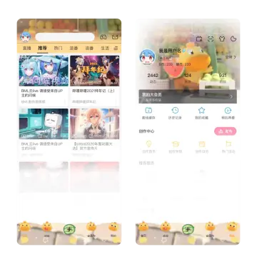 预览