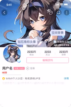 预览