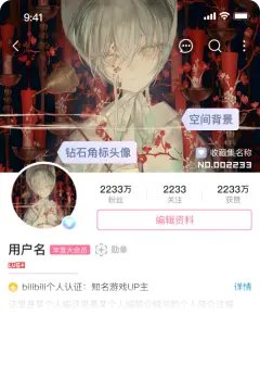 预览