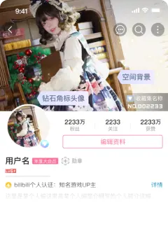 预览