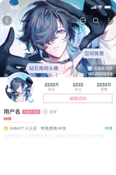 预览