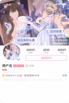 预览