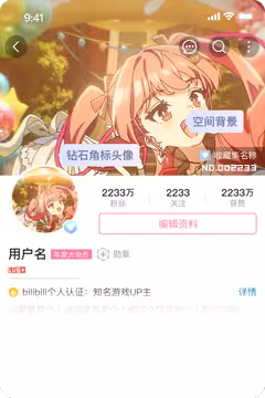 预览