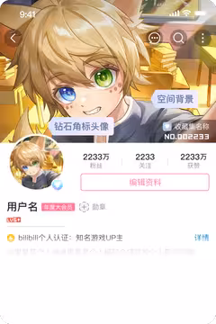 预览