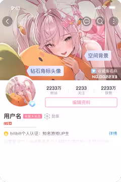 预览