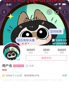 预览