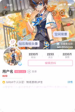 预览