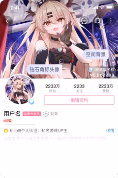 预览