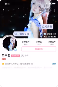 预览