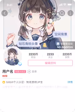 预览