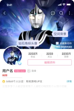 预览