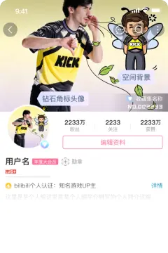 预览