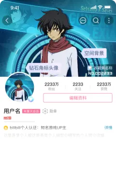 预览